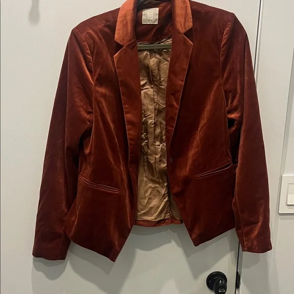 Elegant Velvet Women's Blazer in Rich Rust - Picture 2 of 11